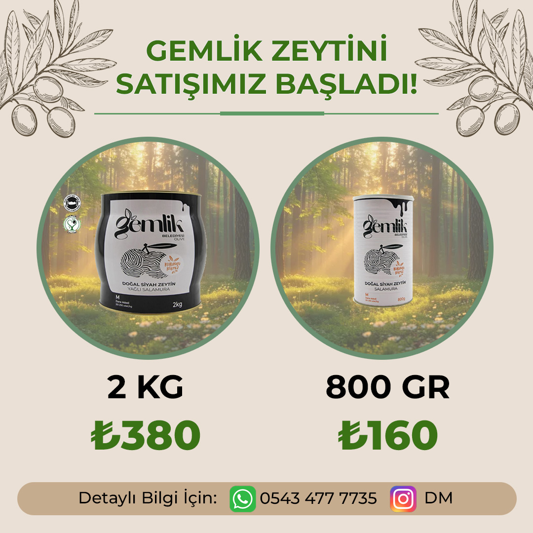 Zeytin